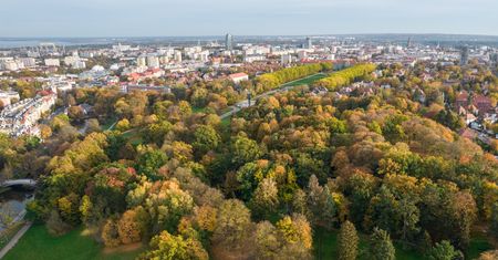 Pogoda w Szczecinie. Prognoza na czwartek 16 lipca. Zachmurzenie i przelotne opady