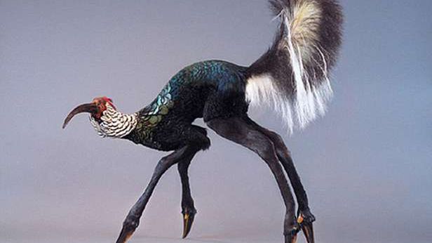 Zaginione ogniwa ewolucji? 1