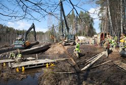 Pojazd USA wydobyty z bagna. Prokuratura wszczyna śledztwo