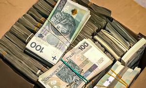Wyłudził 1,3 mln zł z programu Czyste Powietrze. Działał w kilku województwach
