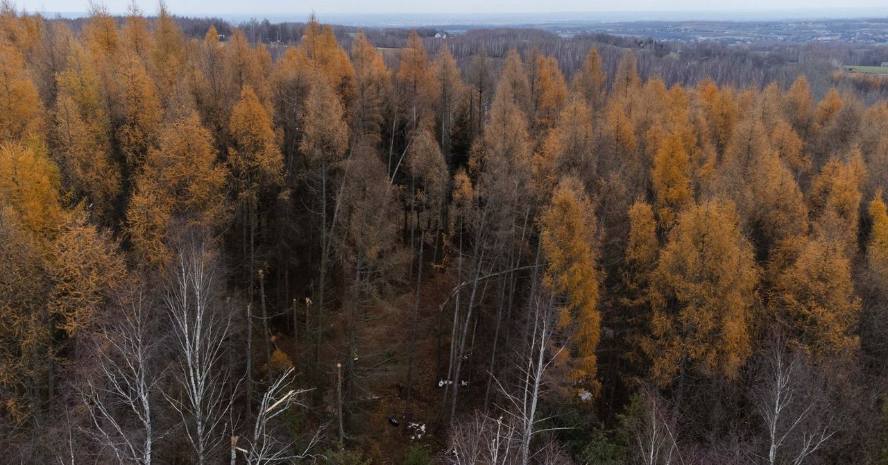 Cierpisz: Odwiedziliśmy miejsce katastrofy helikoptera. Wciąż trudno uwierzyć w to, co się stało