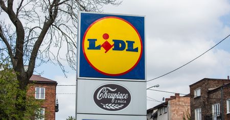 GIS: partia ziemniaków wycofana ze sklepów Lidl. Są poważne zastrzeżenia