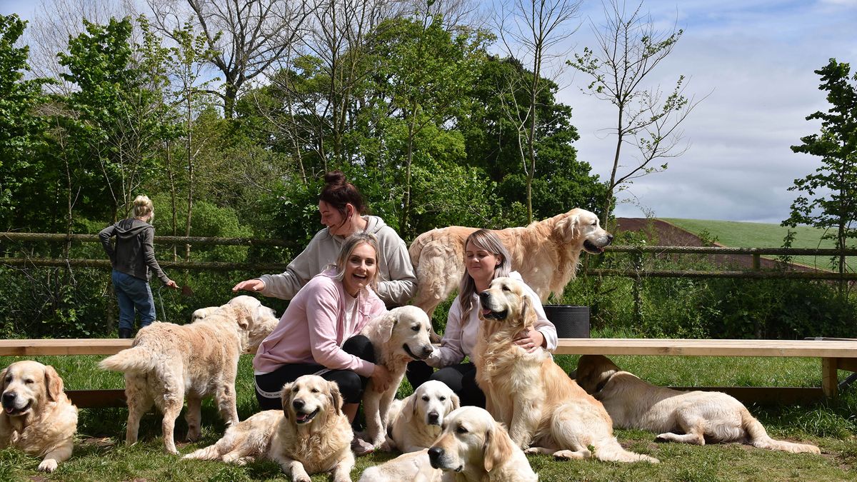 Bezstresowa praca marzeń. Te zdjęcia mówią same za siebie 1