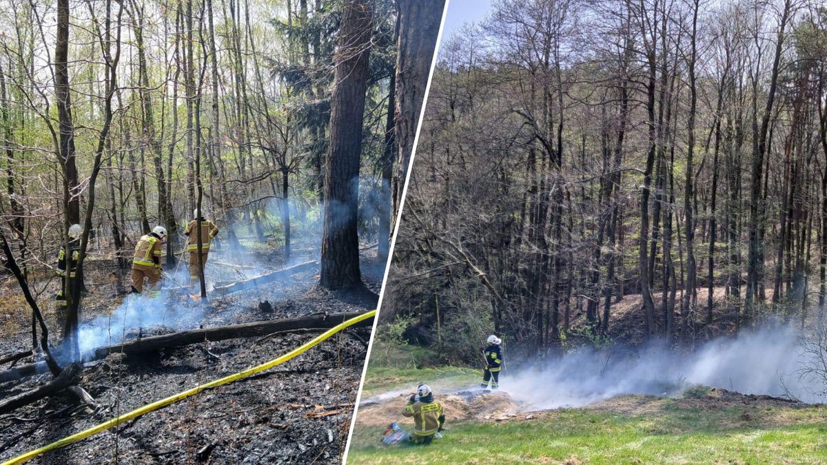 Pożar lasu