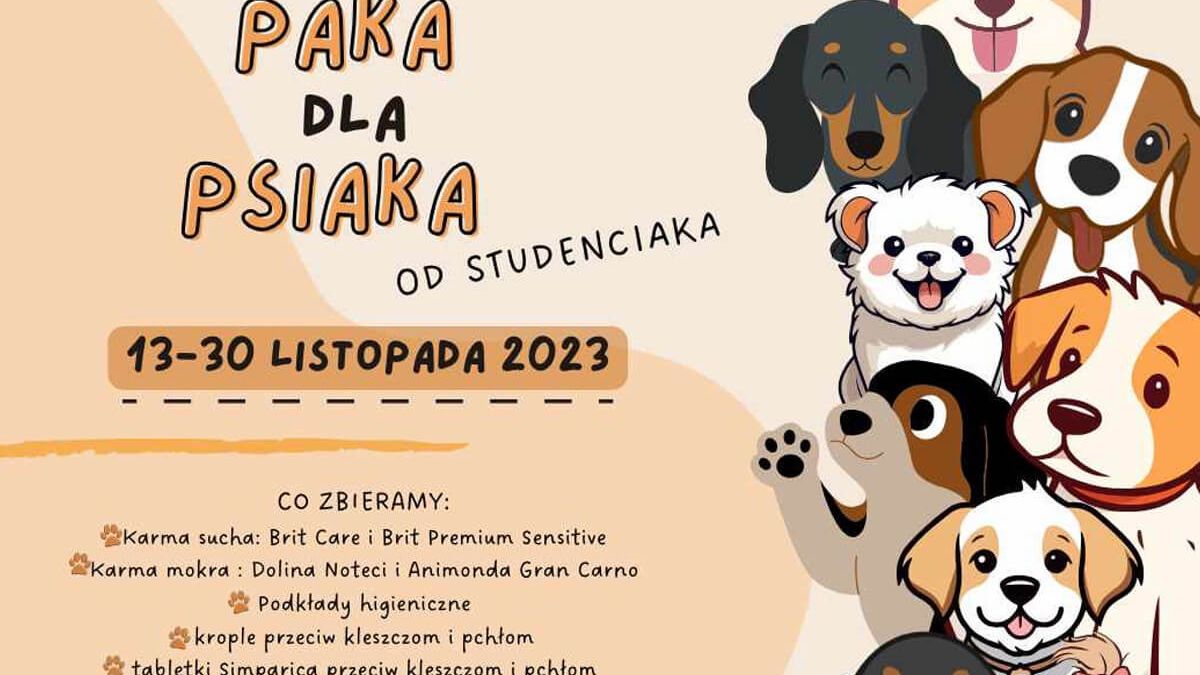 Paka dla psiaka