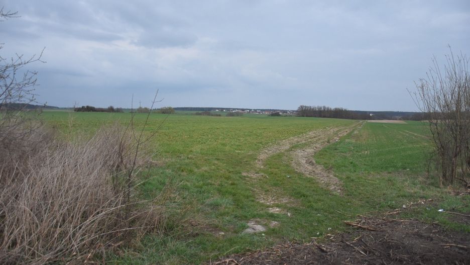 Wraca temat biogazowni w gminie Dolsk. Mieszkańcy Nowieczka i Wieszczyczyna sprzeciwiają się kolejnej lokalizacji tej inwestycji [zdjęcia]