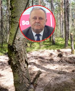 Przeleciała przez pół Polski? Ostra reakcja po słowach premiera