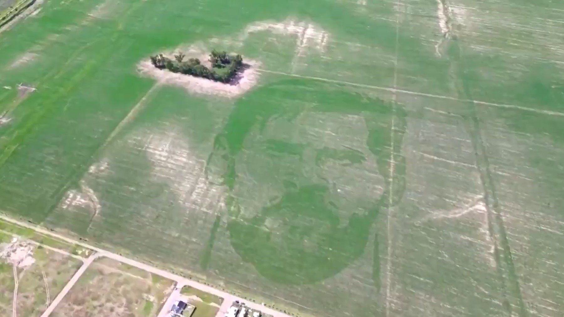 Esto no es un fotomontaje.  Visto en un campo de maíz en Argentina – o2