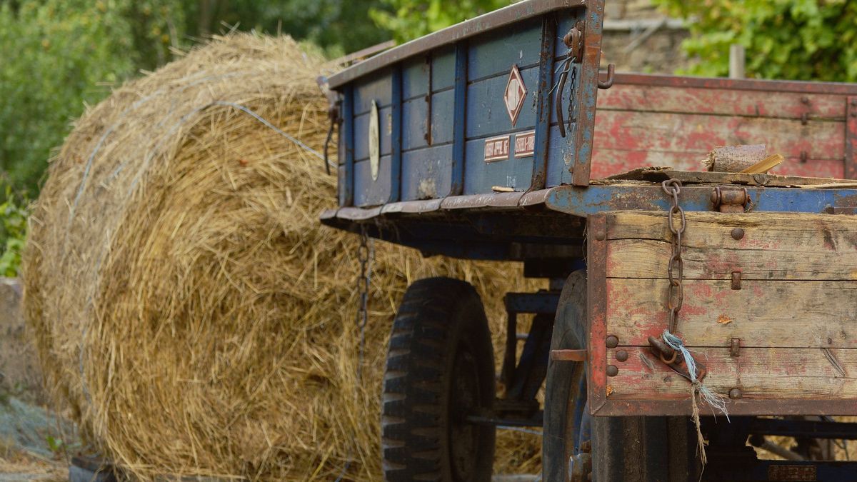 Mężczyzna zginął pod kołami przyczepy. Zdjęcie ilustracyjne