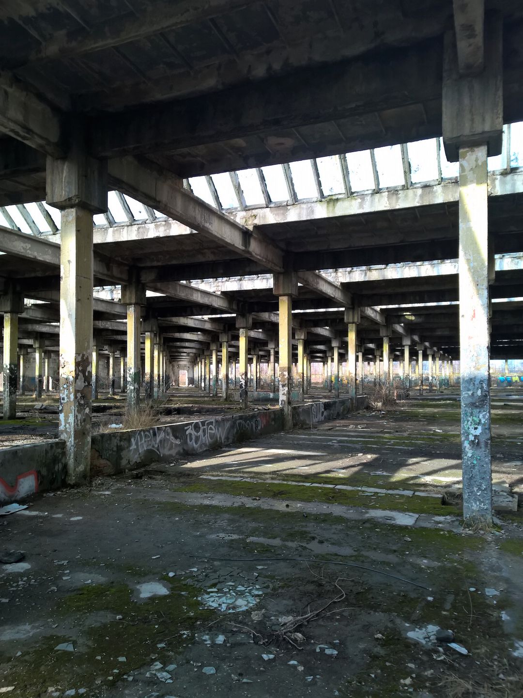 Lumia 930 - test fotograficzny 8