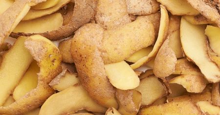 Rozbija kamienie w nerkach, oczyszcza z toksyn. Warto pić