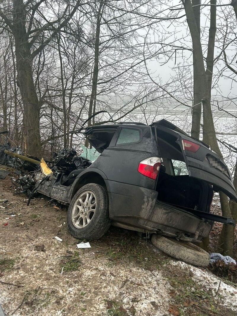 BMW uderzyło w przydrożne drzewo