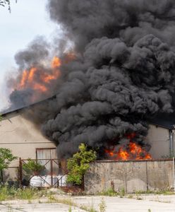 Pożar składowiska w Zielonej Górze. Śledczy już kilka lat temu odkryli toksyczne beczki
