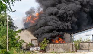 Pożar składowiska w Zielonej Górze. Śledczy już kilka lat temu odkryli toksyczne beczki