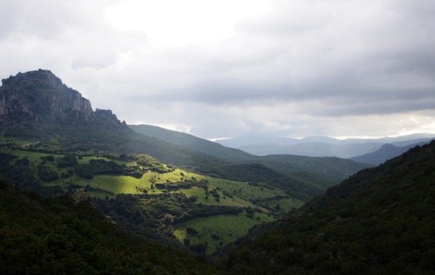 Obraz