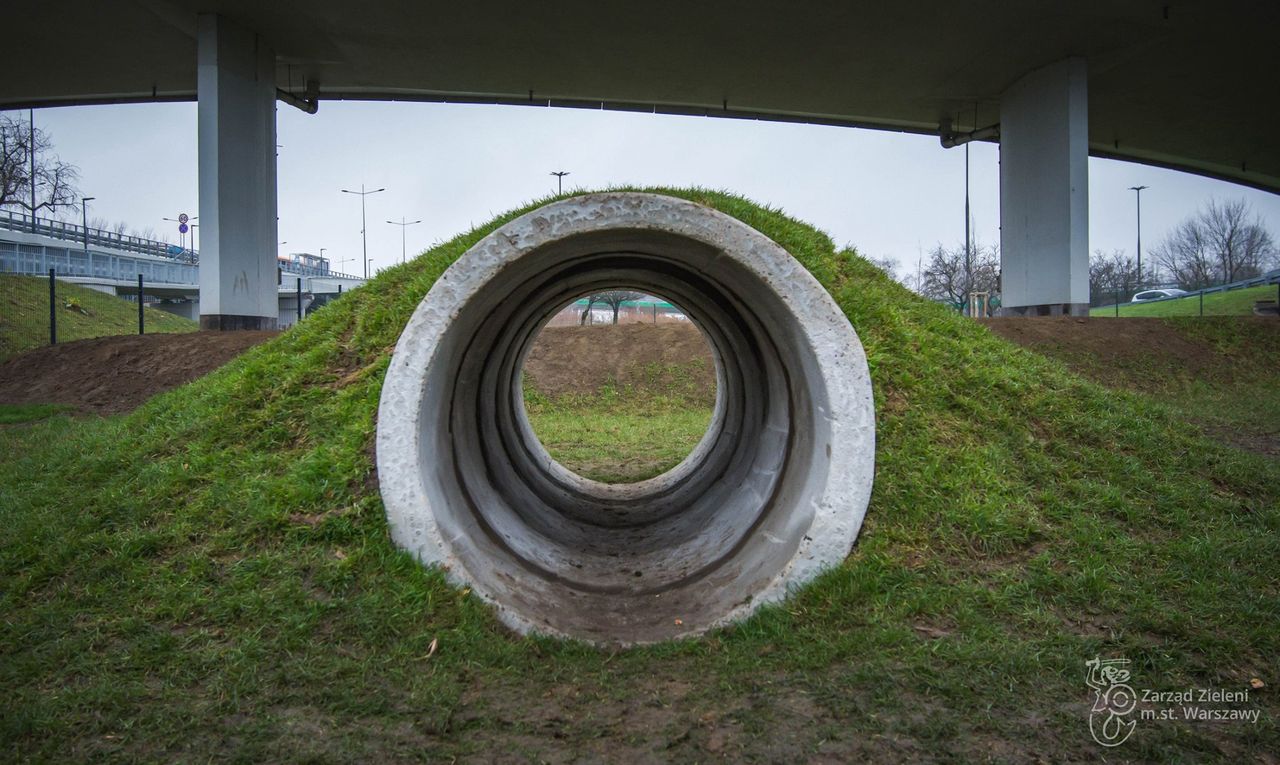 Warszawa. Dog Park został otwarty, fot. Zarząd Zieleni