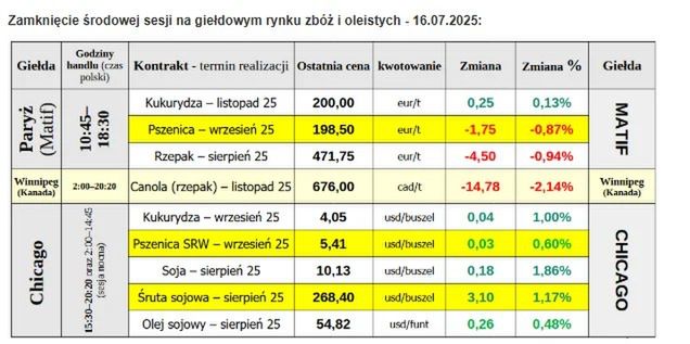 Mocne odbicie euro uderza w ceny rzepaku i pszenicy! Rolnicy znów pod presją