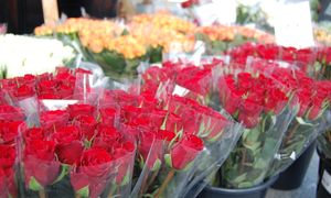 Nie kupuj tych kwiatów na walentynki. Przynoszą pecha