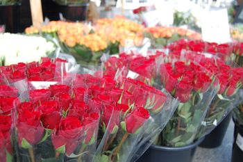 Nie kupuj tych kwiatów na walentynki. Przynoszą pecha