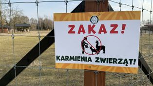 Zoo Borysew apeluje do odwiedzających: nie dokarmiajcie zwierząt. Nawet niewinna przekąska może być dla nich śmiertelnym zagrożeniem