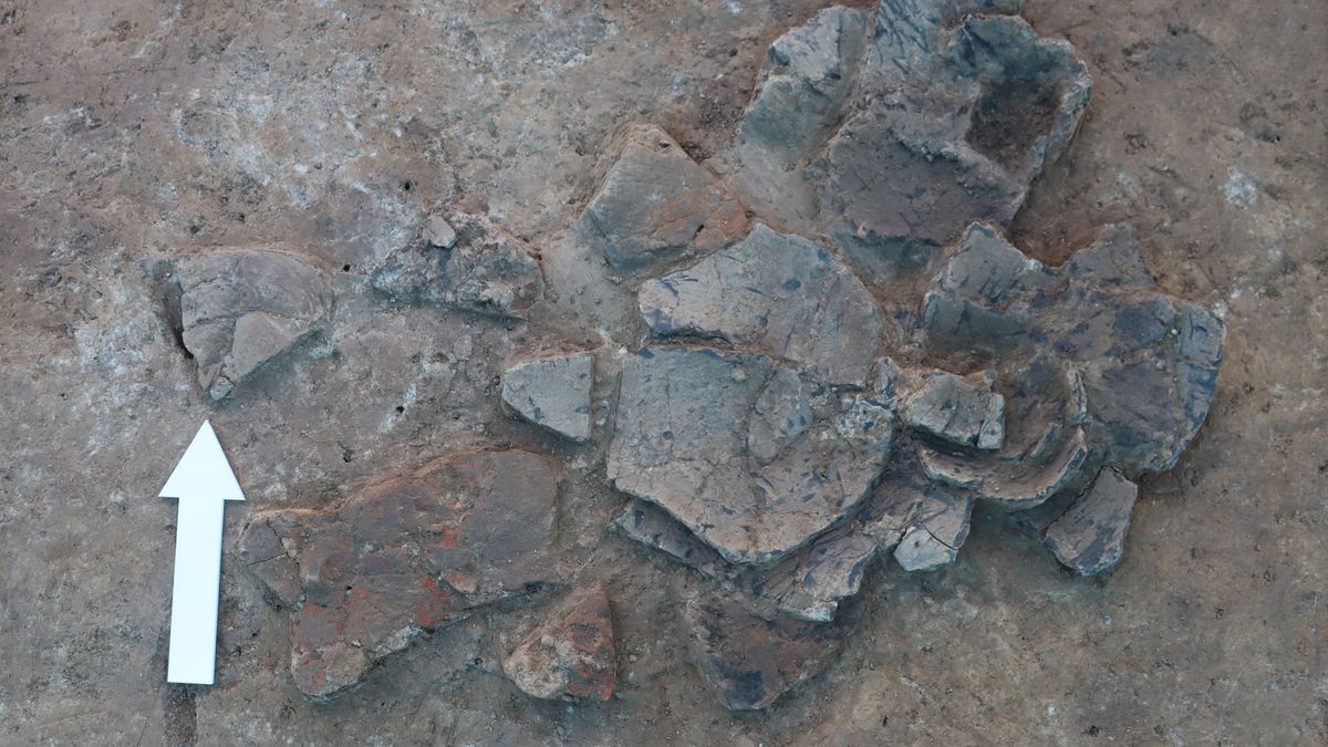 Niezwykłe odkrycie archeologów z Instytutu Archeologii UR