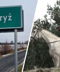 Skąd wziął się Paryż w Polsce? Wszystko przez kochliwych Francuzów