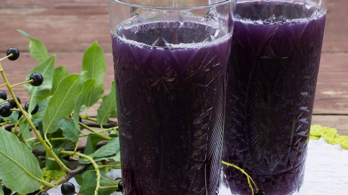 Z czeremchy można przyrządzić zdrowotny syrop