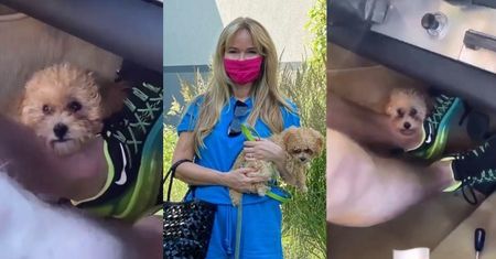 Joanna Przetakiewicz relacjonuje podróż samochodem z psem MIĘDZY PEDAŁAMI: "TO NIEBEZPIECZNE"
