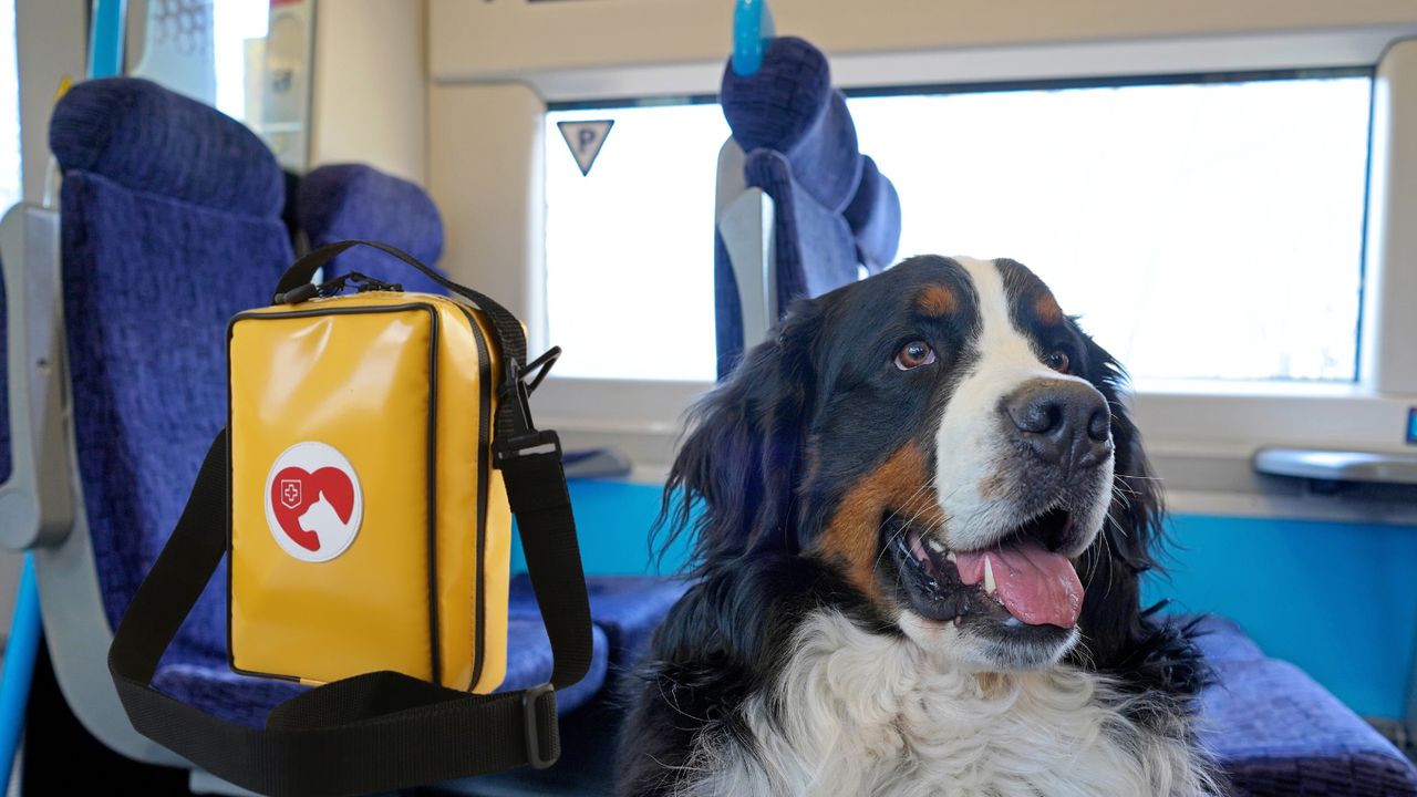 Psia apteczka w pociągu. Warto mieć taką w domu