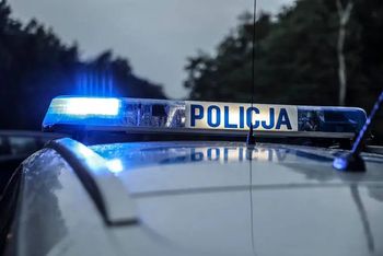 Staranowała płot. Szarża kobiety bez prawa jazdy zakończyła się w rowie