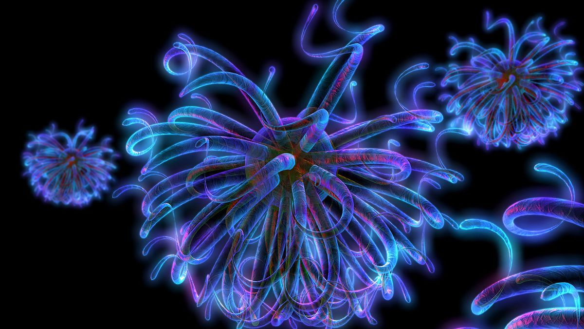 Najważniejsze odkrycia A.D. 2010 1