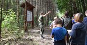 Warszawa. Lasy zapraszają na wędrówkę. Wracają spotkania z leśnikami