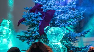 Bielsko-Biała: Za nami trzecia edycja "misiowego" święta