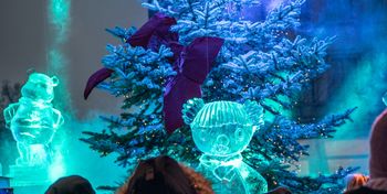 Bielsko-Biała: Za nami trzecia edycja "misiowego" święta