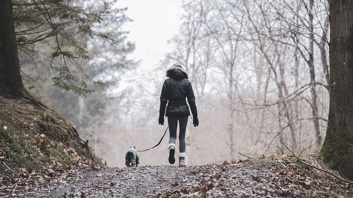 Zdjęcie ilustracyjne