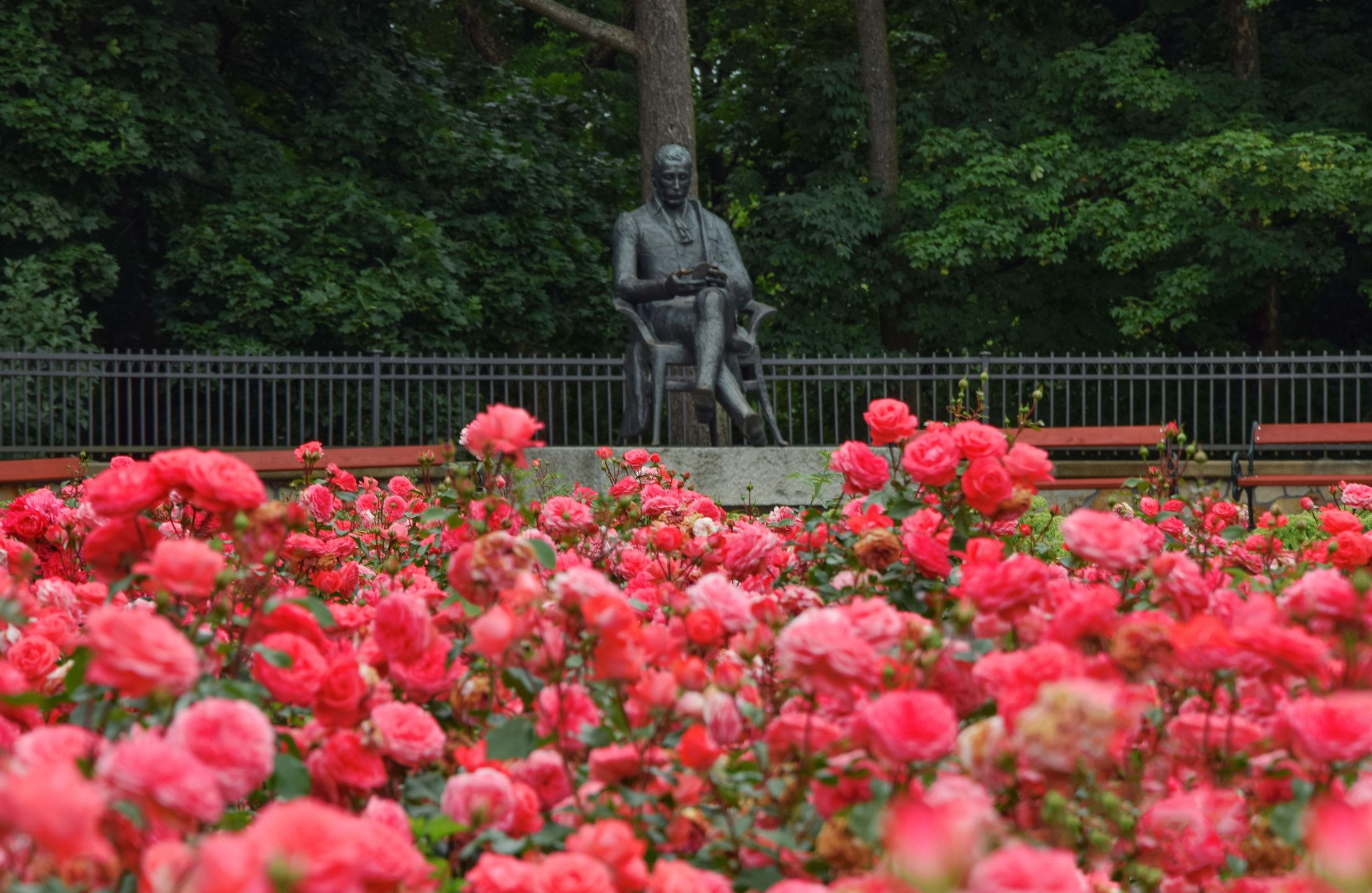 Park powinien zachwycać szczególnie wiosną 