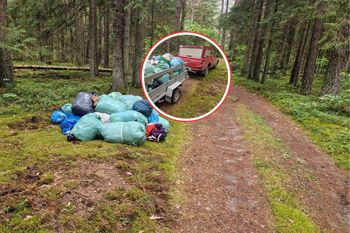 Wywieźli całą przyczepę. Ktoś schował głęboko w lesie. "Ręce opadają"