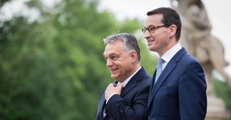 PiS ma problem z Orbanem? Poseł Lewicy wprost