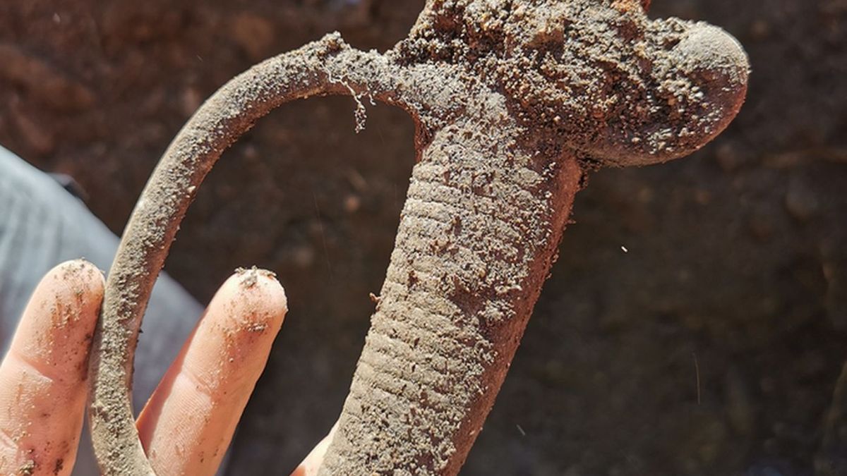 Niezwykłe odkrycie w fosie Twierdzy Srebrna Góra