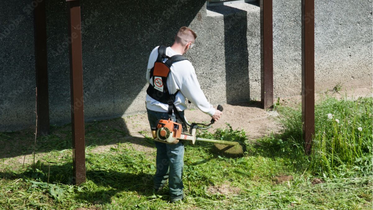 W wyniku koszenia giną ptaki i drobne zwierzęta