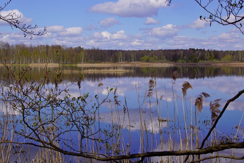 Polesie to wyjątkowe tereny wodno-bagienne