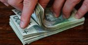 Tutaj Polacy zarobią nawet 50 zł/h. Pracodawcy w branży szuka rąk do pracy