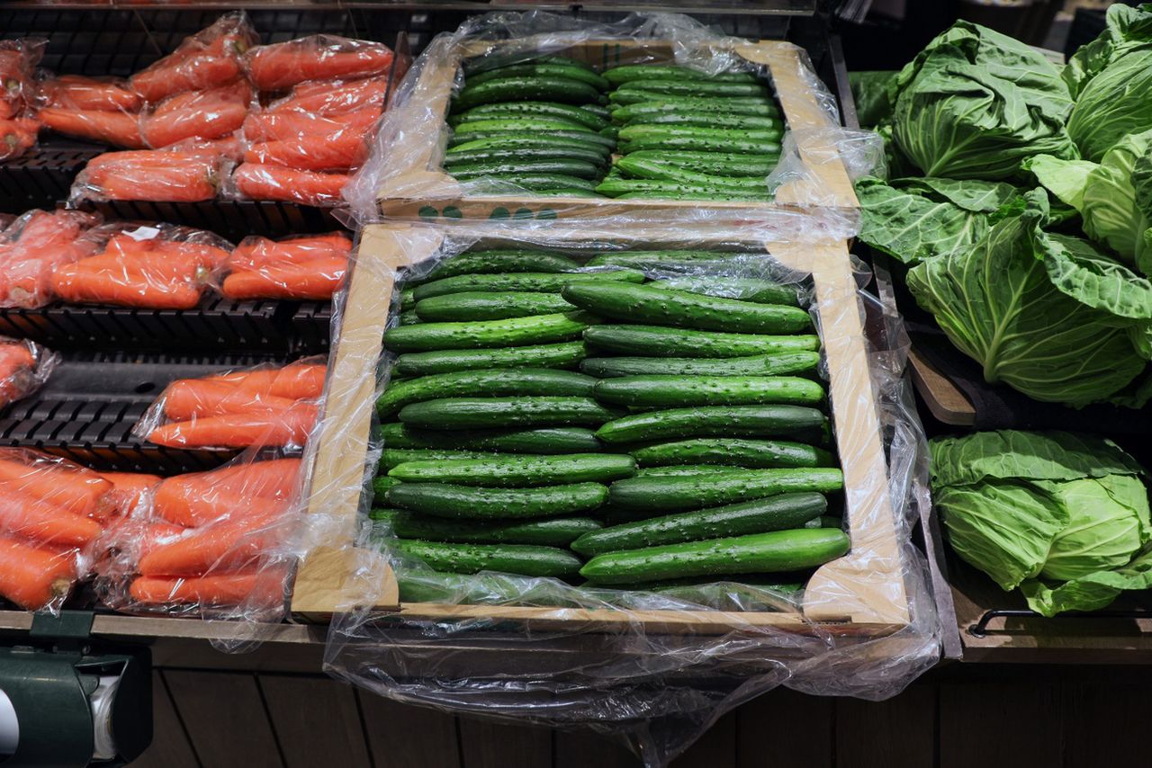 Gurkensalat-Trend lässt isländische Supermärkte leerstehen