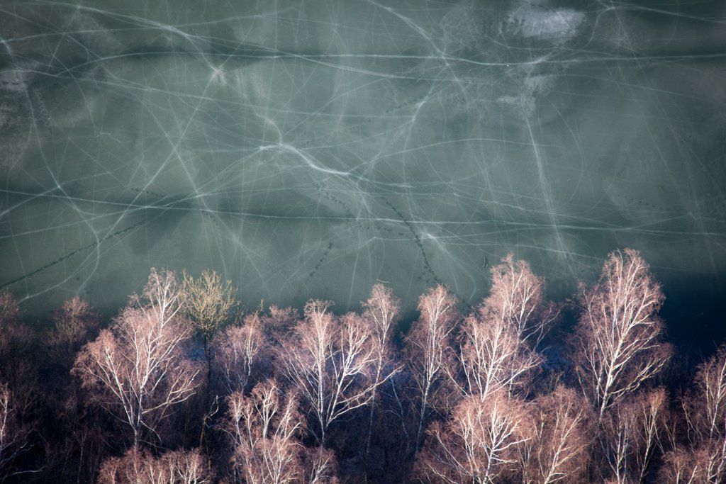 10. Wielki Konkurs Fotograficzny National Geographic - zobacz nagrodzone zdjęcia 21