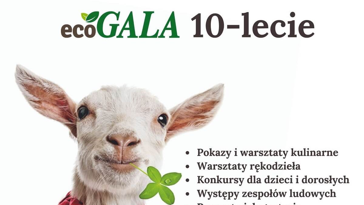 Plakat Eco-Gala