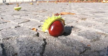 Pierwszy dzień jesieni 2018. Kiedy zaczyna się jesień?