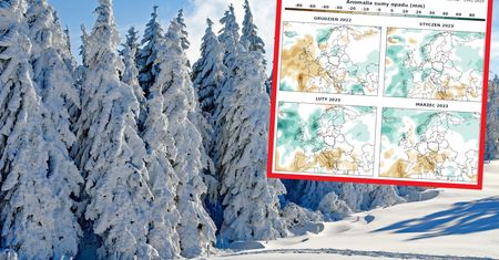 Jaka będzie zima 2022/23? Eksperymentalna prognoza pogody na kwartał