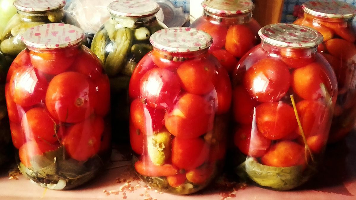 Marynowane pomidory na zimę