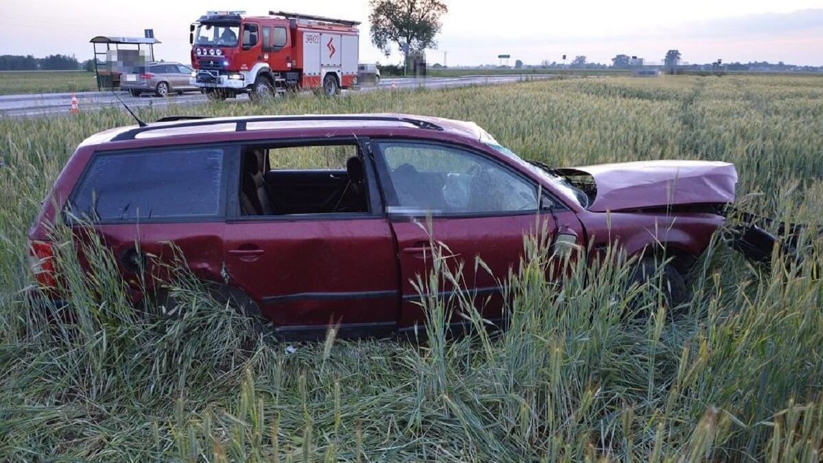 Pijany kierowca w przydrożnym rowie