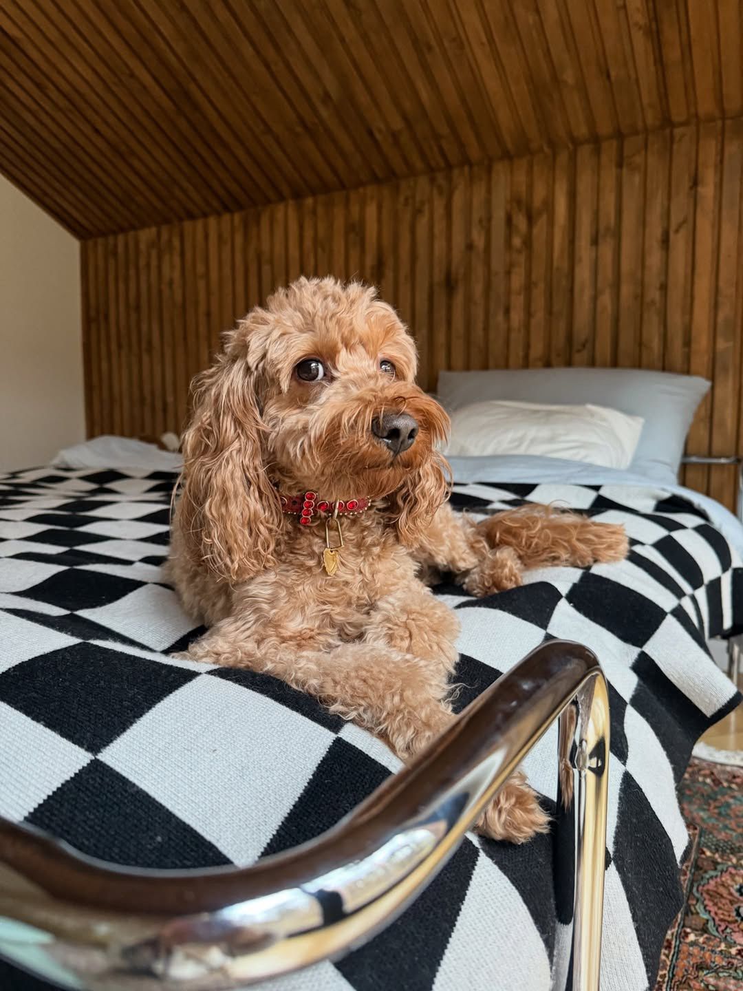 Sypialnia u Julii Wieniawy